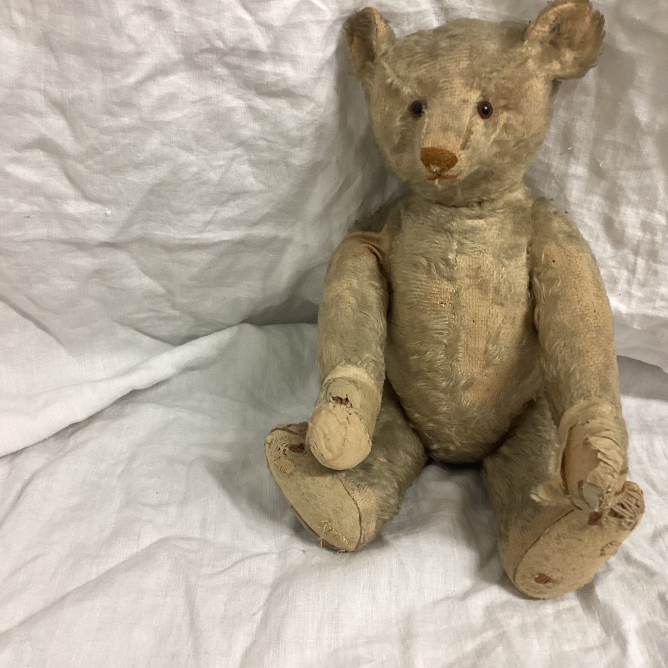 Steiff Spielzeuge: STEIFF TEDDY VON 1908/1912 SEHR SELTEN – Gebraucht aus Münchenstein von NoSu98 3