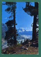Naturschutzgebiet Aletschwald, 1992, gelaufen, Grossformat