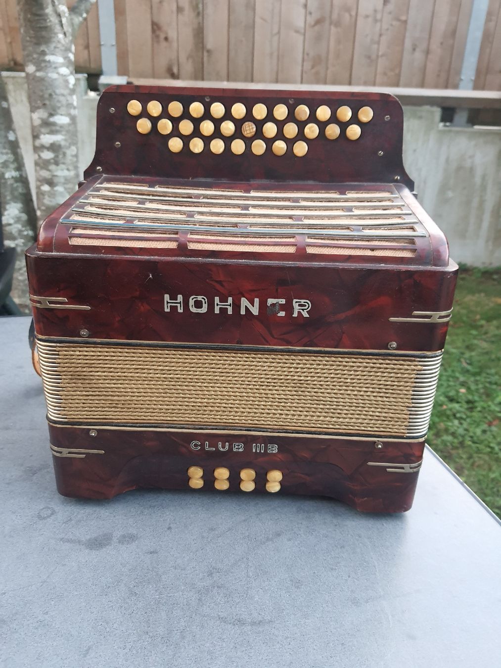 Hohner Strumenti musicali: accordéon hohner norma diatonique  – Usato da Pont-de-la-Morge venduto da Mirabelle0 2