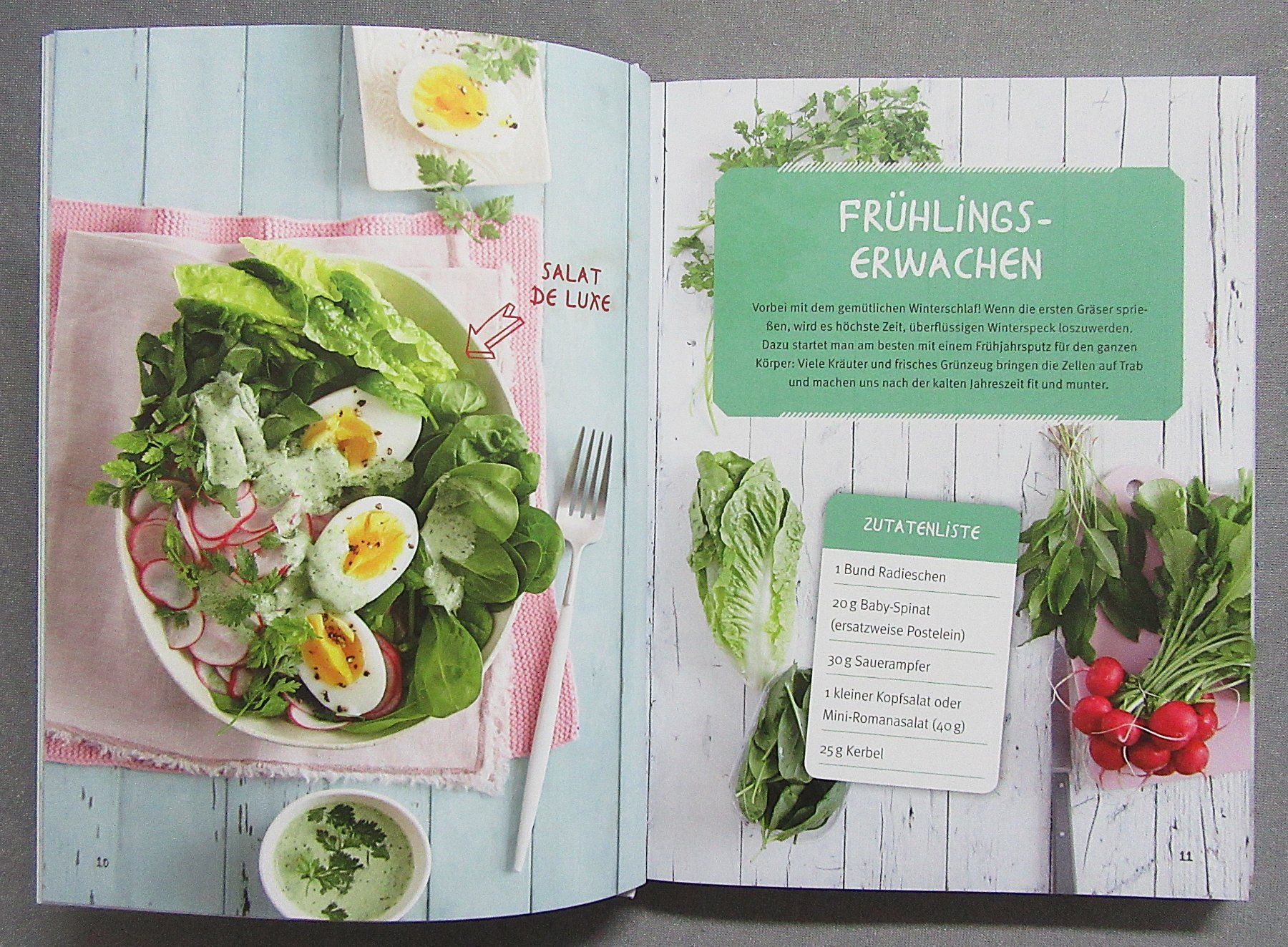 Libri: Smoothie oder Salat ? - Eine Zutatenliste • 2 Möglichkeiten – Usato da Auenstein venduto da Padabimbim 3