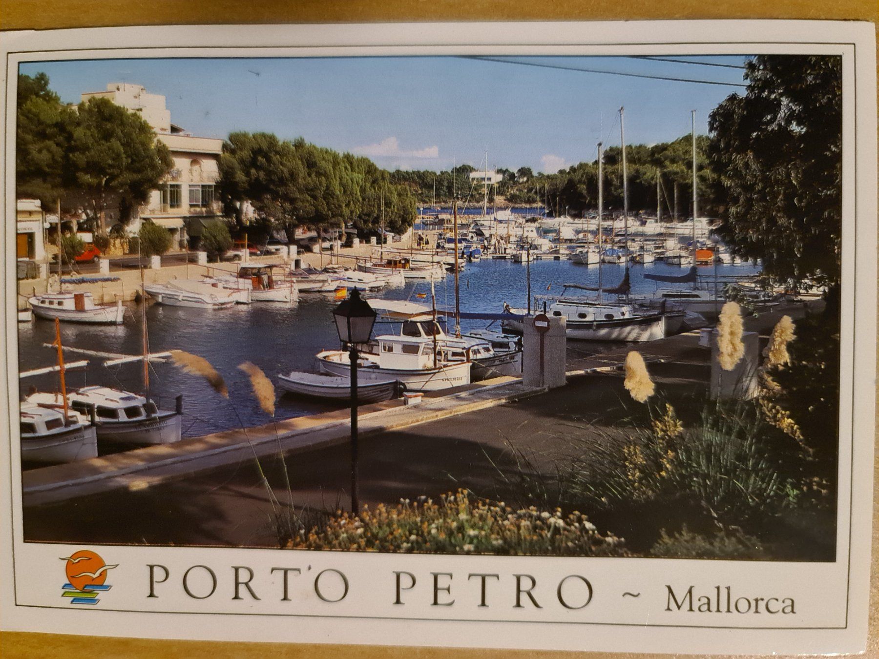 Cartoline postali: Ansichtskarte porto Petro Mallorca Spanien – Usato da Dintikon venduto da Vexi