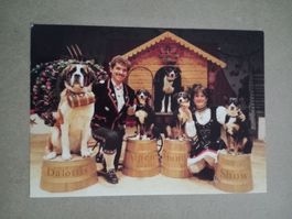 AK Dalottis Alpenhunde Show Clownin Daly Gränichen AG