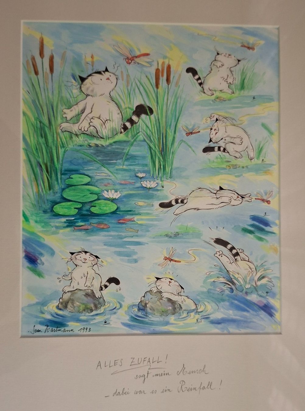 Gemälde: Hartmann Sven, Kater Jacob, Karikatur, Teich, Libellen – Gebraucht aus Herisau von Saentis1 1