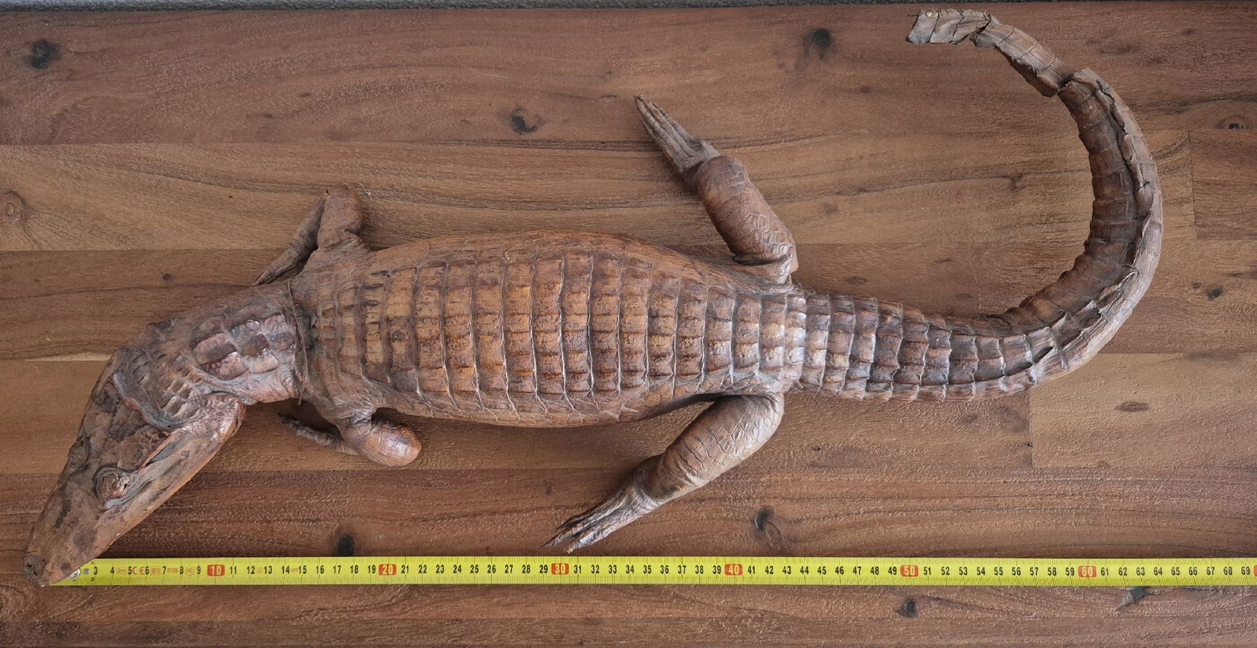 Il mondo degli animali: Antikes Ausgestopftes Krokodil 64cm – Usato da Zürich venduto da Dalema13 9