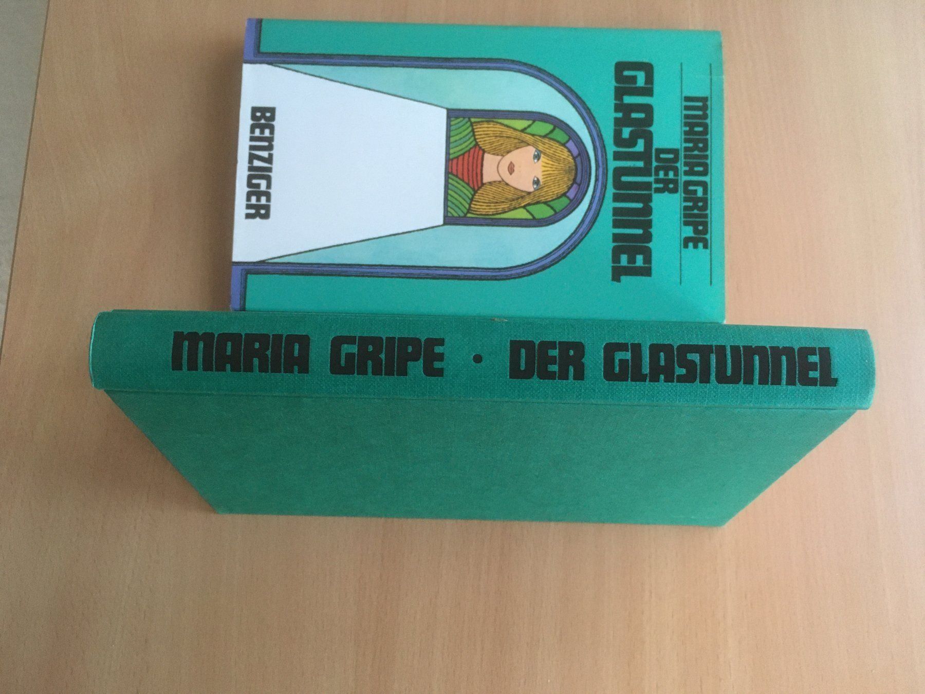 Bücher: Der Glastunnel; Maria Gripe – Gebraucht aus Grenchen von Kogi7 1