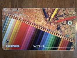 Bunte Künstler-Farbstifte Fantasia Gonis 36 Stk.- fast neu