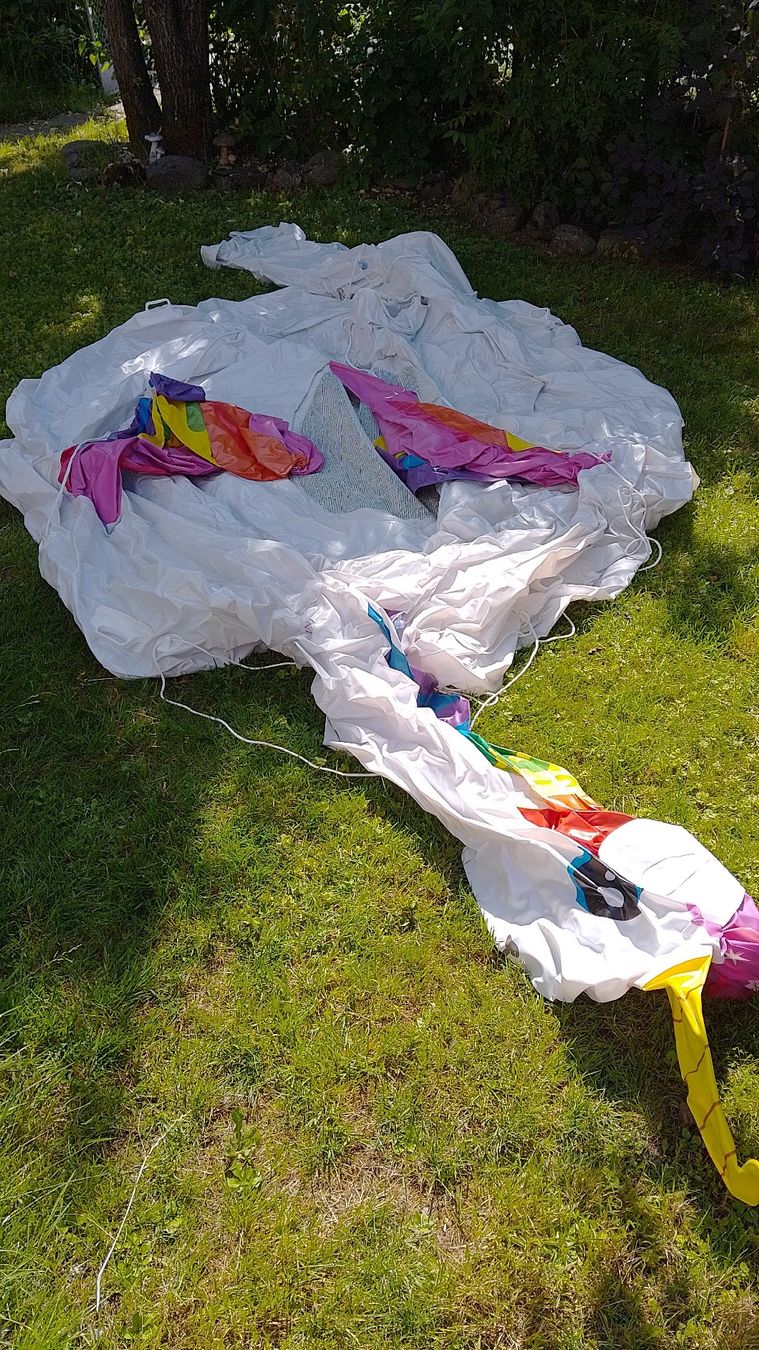 Salvagente: Intex Unicorn Party Island – Usato da Rüti ZH venduto da Panana22