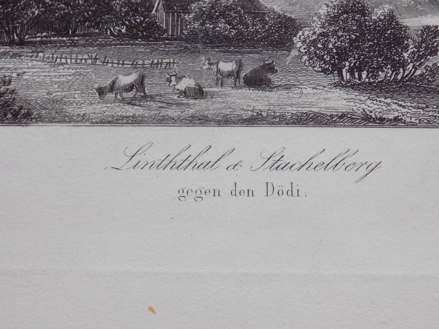 Stiche: Linthal Stachelberg Tödi – Gebraucht aus Risch von Rischli15 2