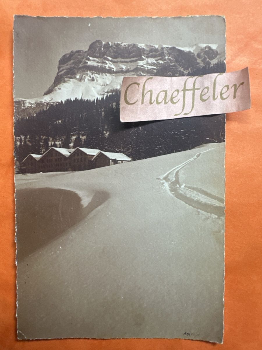 Cartoline postali: Alte Ansichtskarte 1924 Axalp Brienz mit Stempel – Usato da Zürich venduto da Chaeffeler