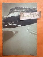 Alte Ansichtskarte 1924 Axalp Brienz mit Stempel