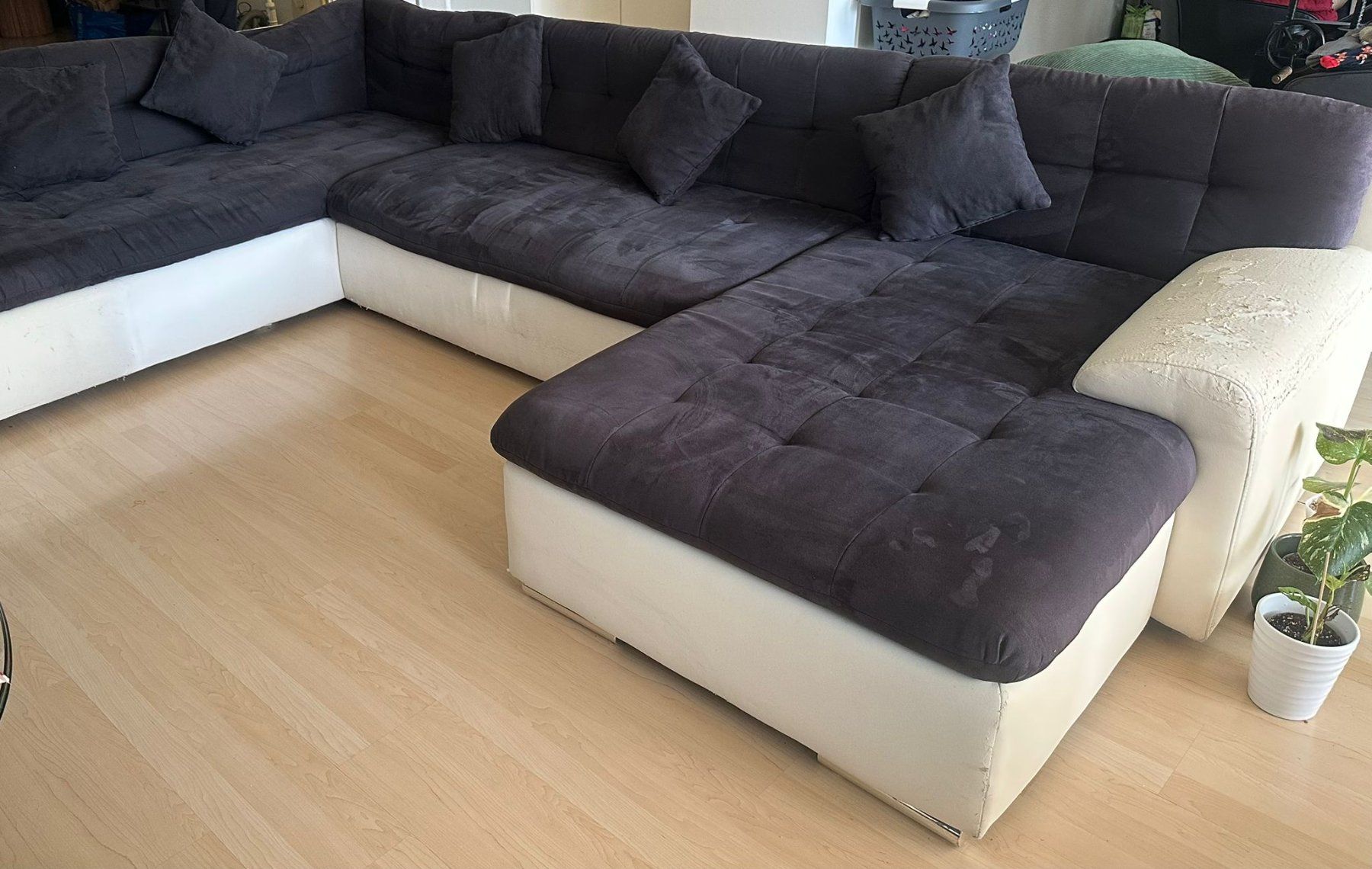 Divani: GRATIS! Grosses Sofabett sehr bequem! – Usato da Zürich venduto da Maja078 2