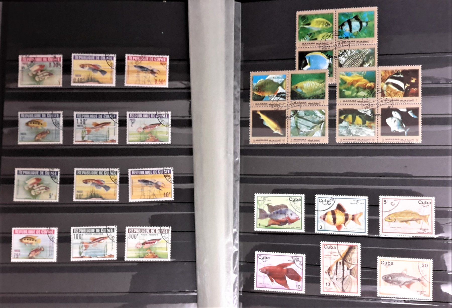 Alle Briefmarken: Internationale Briefmarken THEMA-Sammlung  "FISCHE DER WELT" – Neu (gemäss Beschreibung) aus Zug von Aeschroot 2