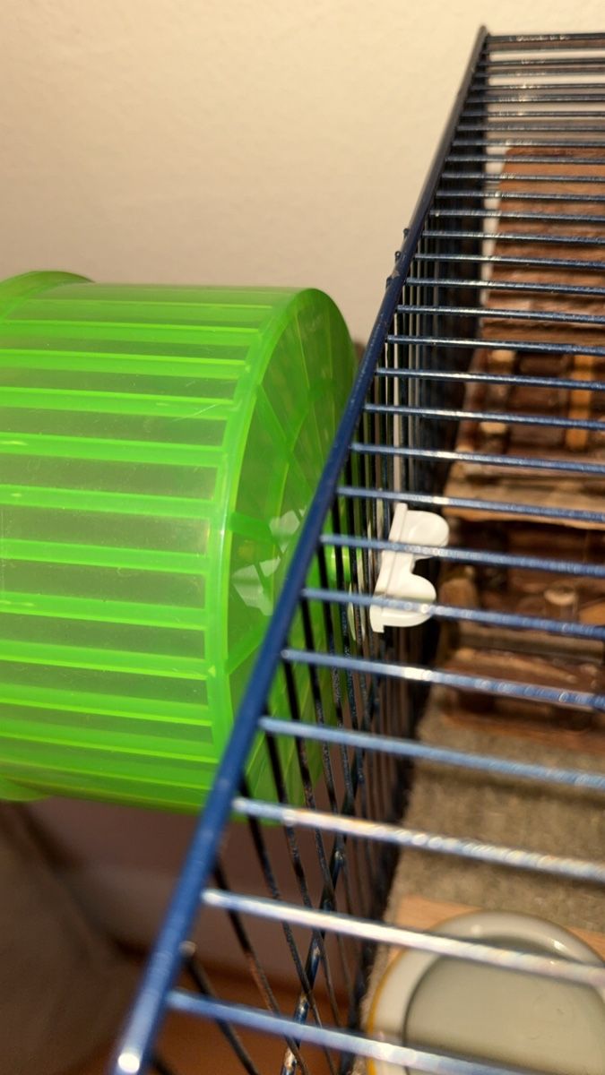 Cages, transport & sécurité: Hamster Laufrad – D'occasion à Bern par pat_g5v7 1