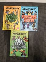 Minecraft 9 Bücher, plus 1 Extrabuch, alles in Top-Zustand