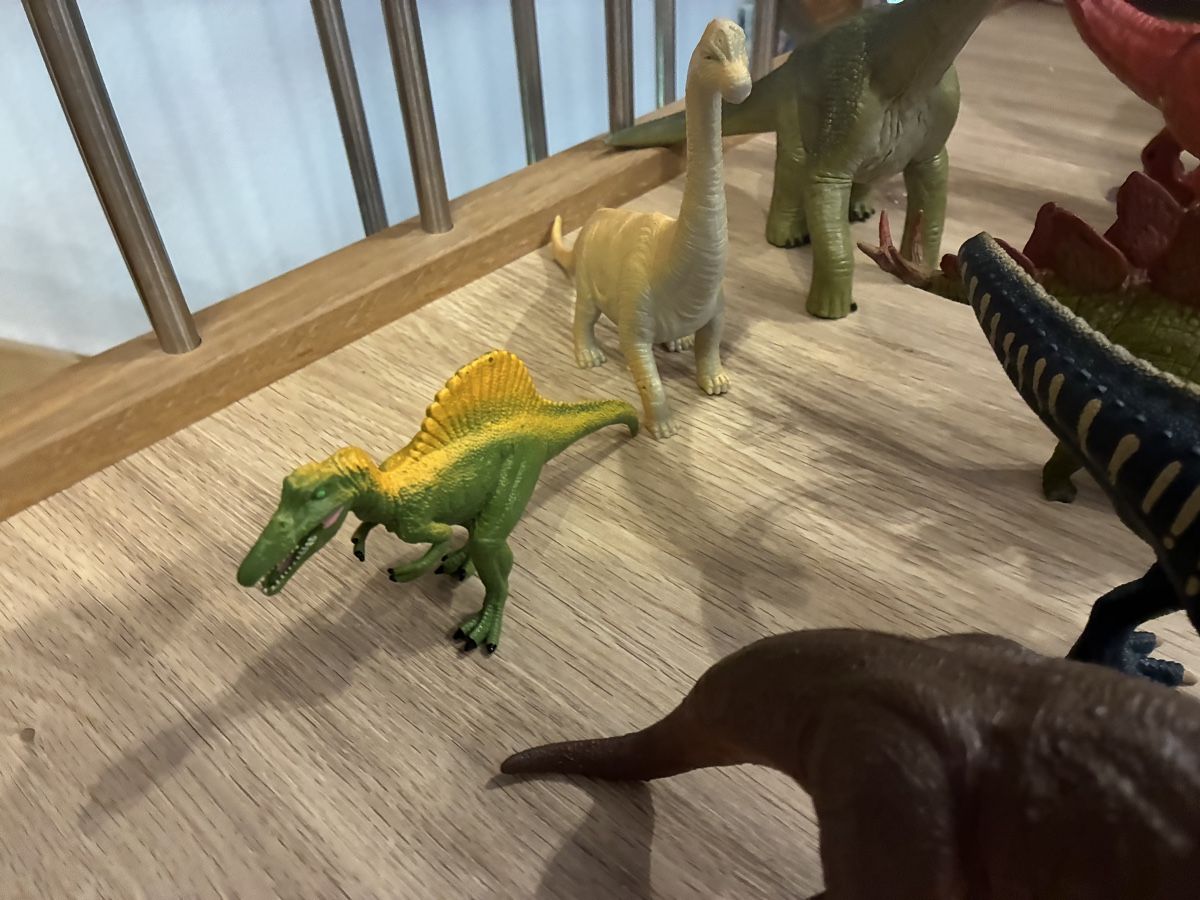 Giocattoli: Dinosaurier-Figuren Set, 20 Stück – Usato da Mitlödi venduto da meyer-sabrina 9