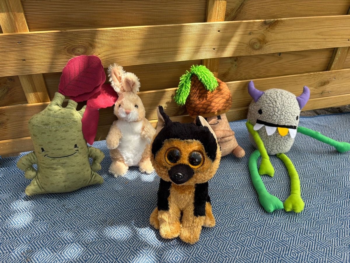 Giocattoli: Peluche – Usato da Delémont venduto da Vendeur_3 2