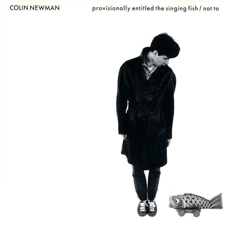 COLIN NEWMAN - PROVISIONALLY ENTIT. (CD) | Kaufen Auf Ricardo