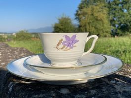 Bavaria Alt Schönwald Gedeck Tasse Kuchenteller handgemalt