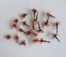 20 Royal Wulff - Trockenfliege