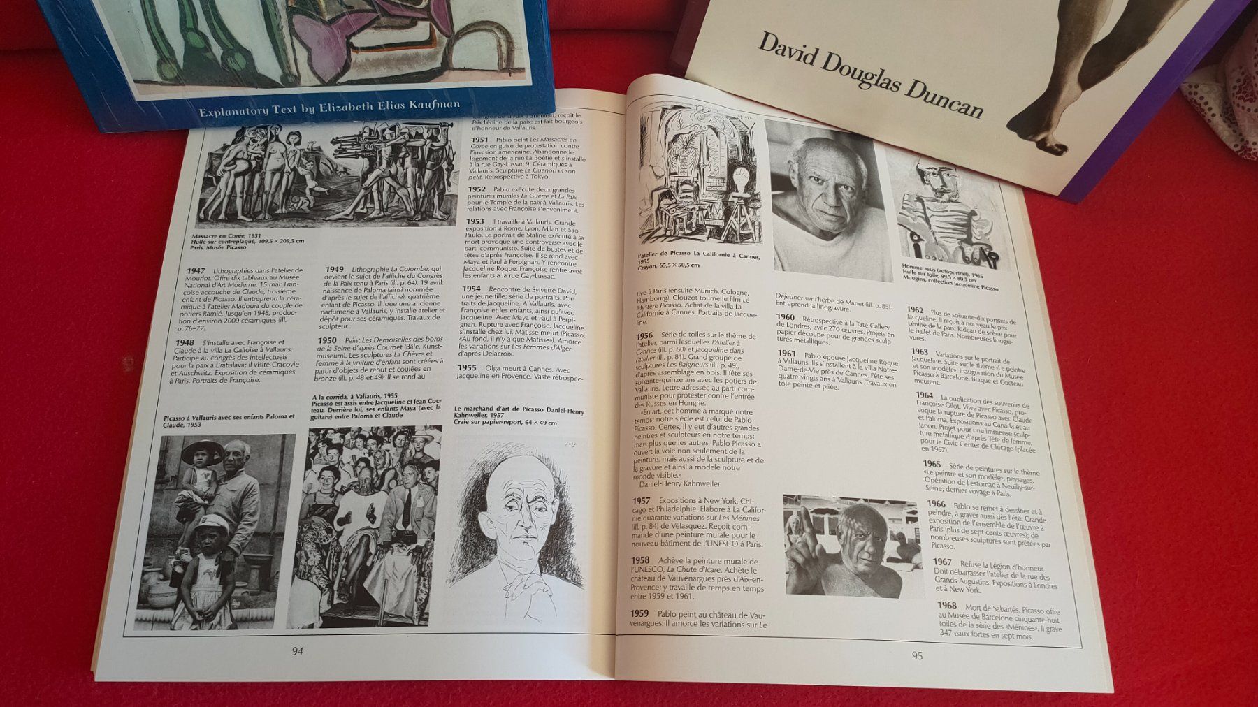 Bücher: Picasso – Gebraucht aus Crans-Montana von Camphill 2