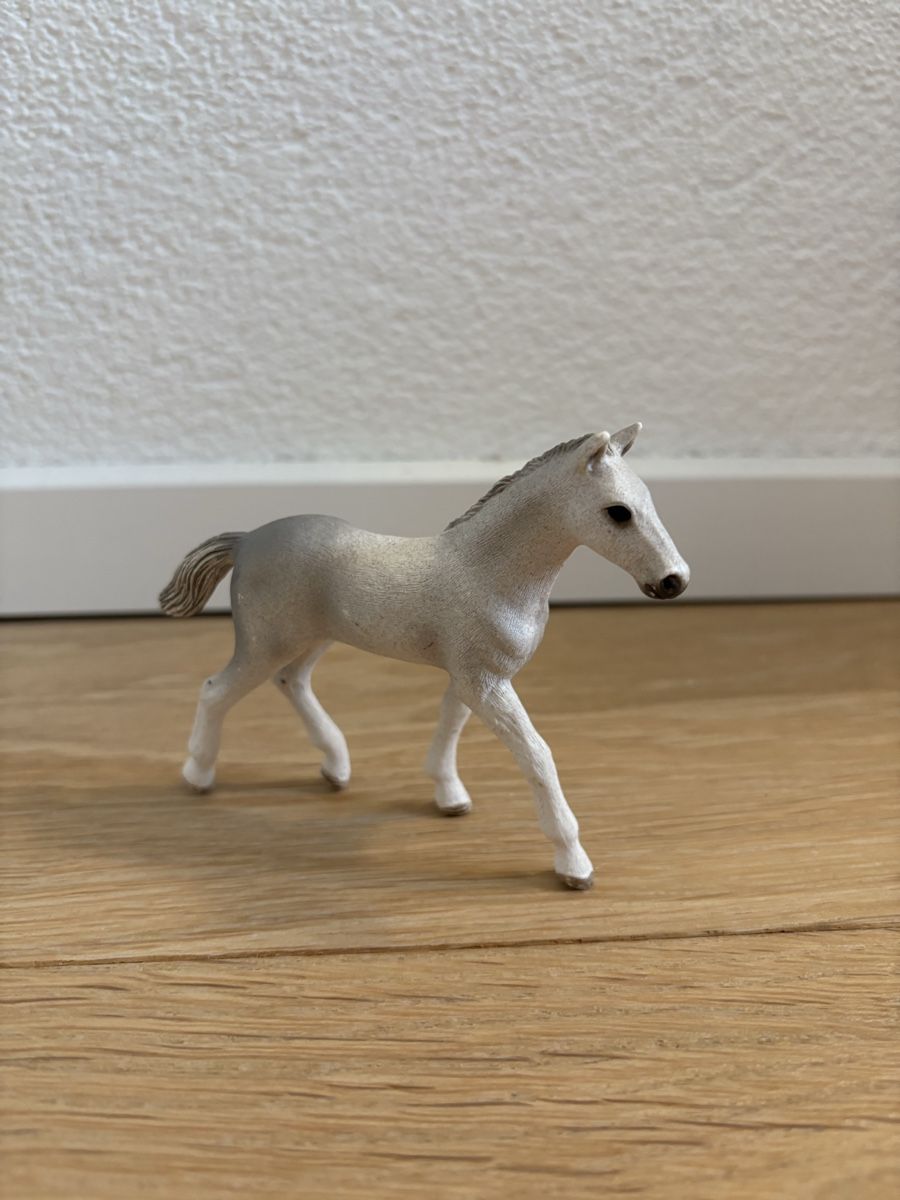 Schleich Giocattoli: Schleich Fohlen – Usato da Thun venduto da sop_thg9