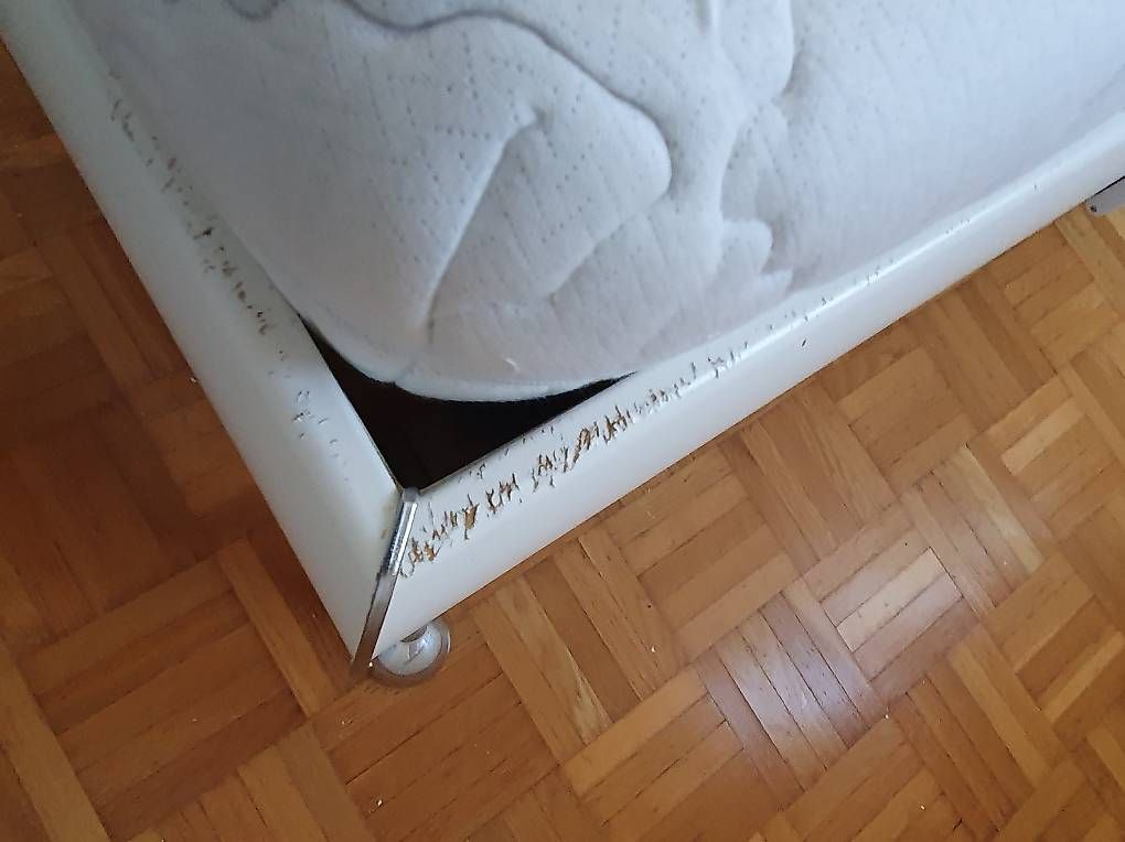 Letti: IN ZIZERS!!!! Gratis Bett + Matratze – Usato da Widen venduto da dem_tdb9 3