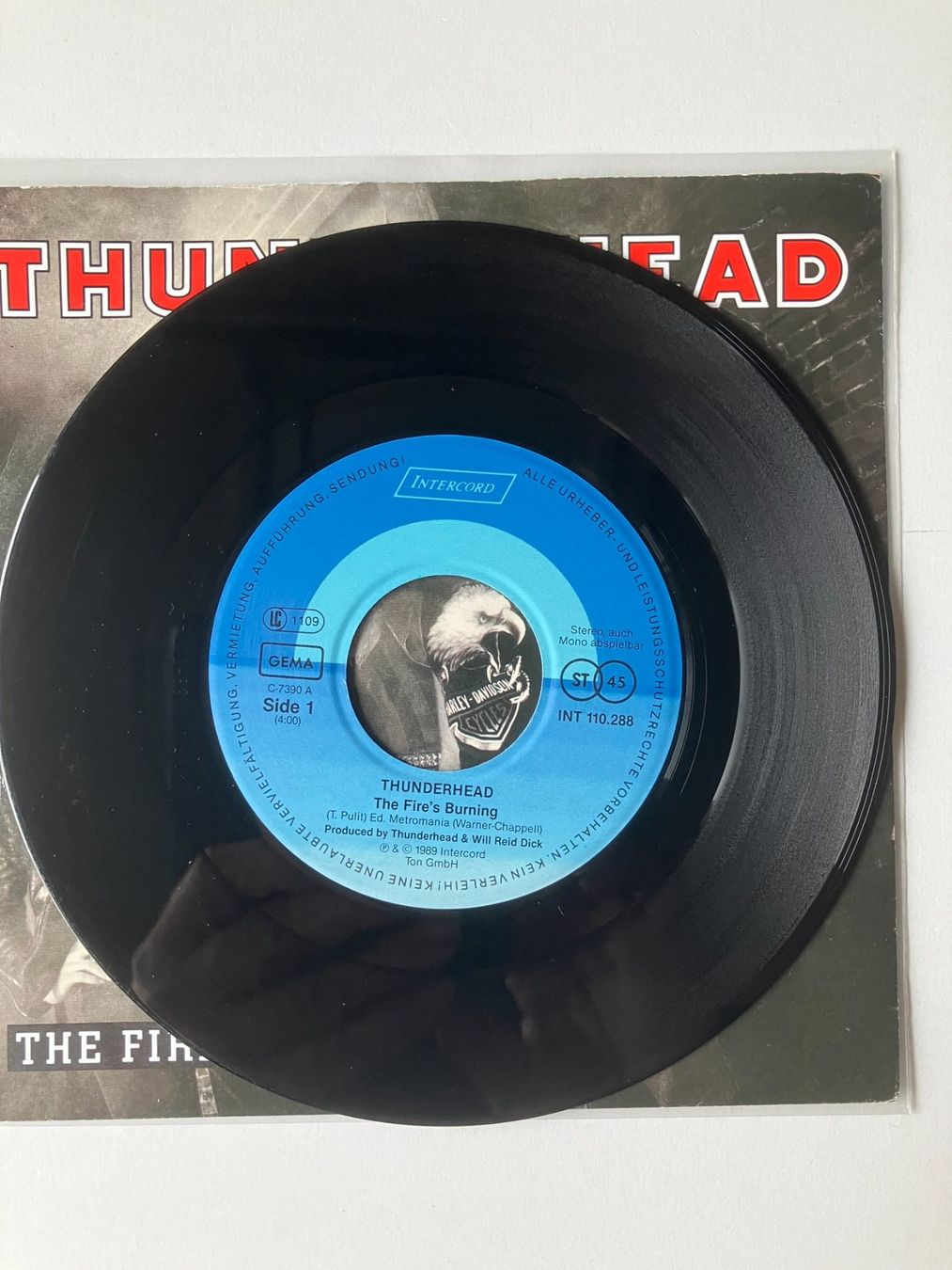 Dischi in vinile: Thunderhead – Usato da Aarwangen venduto da Jukebox3 5