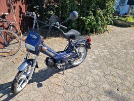 Tomos Mofa Quadro