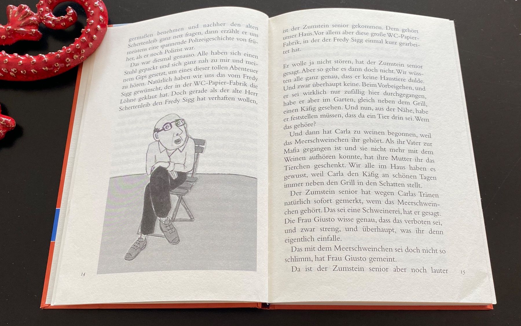Bücher: Torgasse 12 / Martin von Aesch – Gebraucht aus Nussbaumen AG von schuba2000 3
