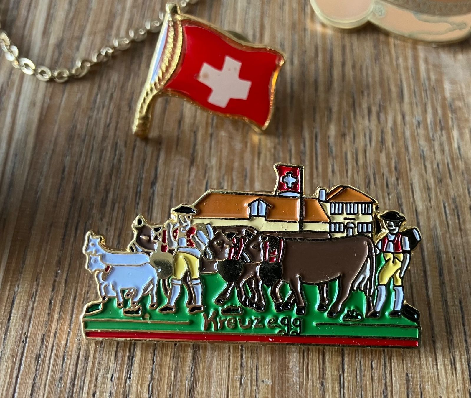 Medaglie: Appenzeller Toggenburger Pin – Usato da Waldstatt venduto da breitaxt 1