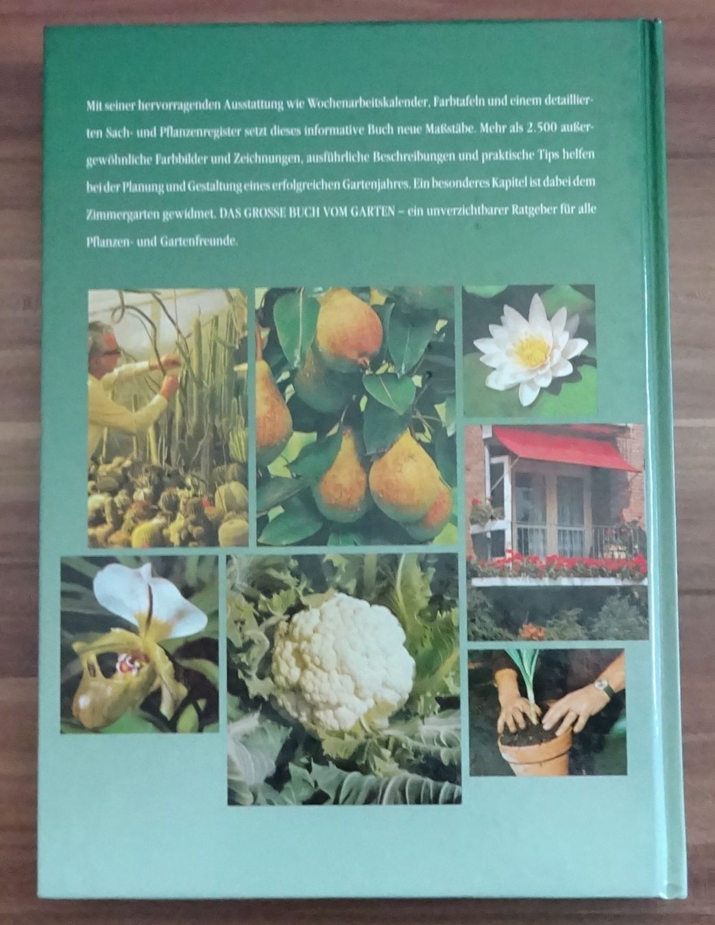 Libri: Mein Grosses Gartenbuch – Usato da Wagenhausen venduto da Kahlen 2