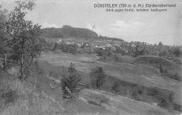 Schöne Ansichtskarte Dürstelen 1925 ZH Zürich