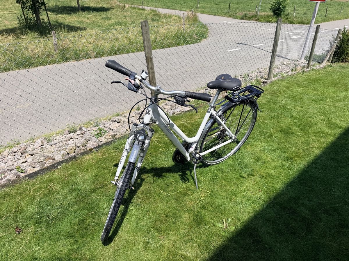 Wheeler Biciclette: Weisses Velo Wheeler – Usato da Adligenswil venduto da anvil3001 2