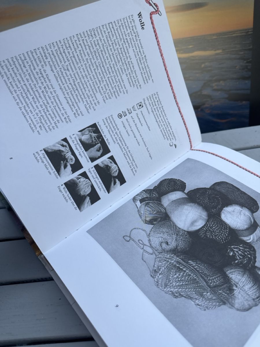 Livres: Stricken Handbuch über 300 Muster – Neuf (Voir description) à Zürich par Belisimo 4