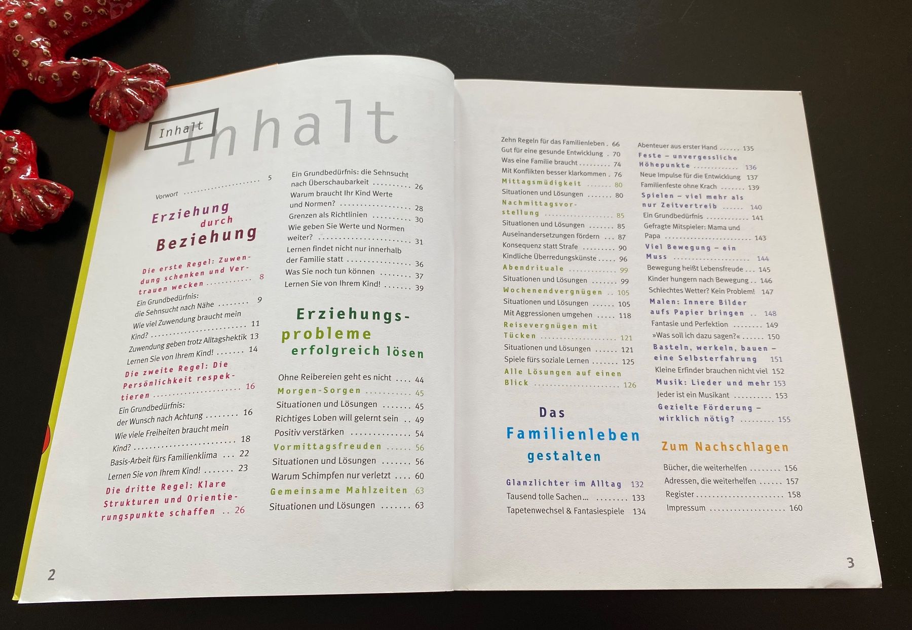 Libri: DER ELTERN FÜHRERSCHEIN – Usato da Nussbaumen AG venduto da schuba2000 3