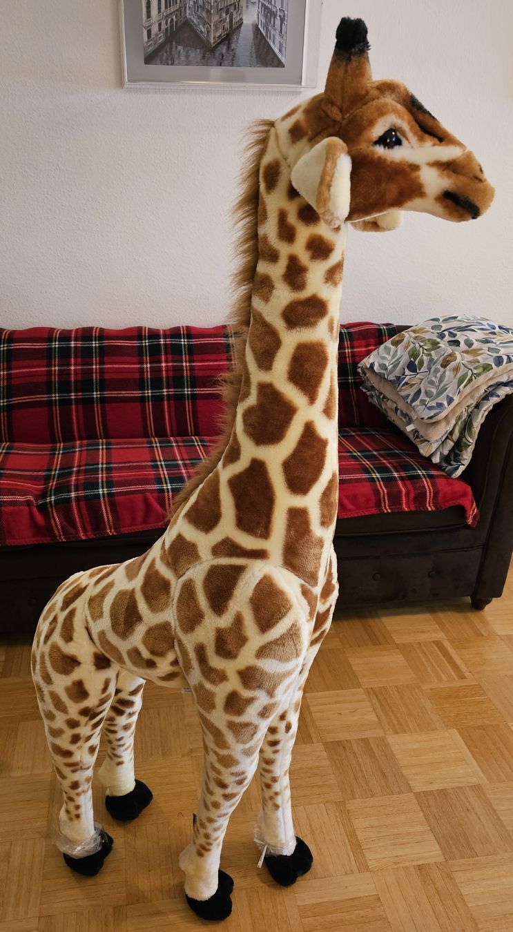 Giocattoli: Toy - Girraf  – Usato da Carouge GE venduto da dumriya 2