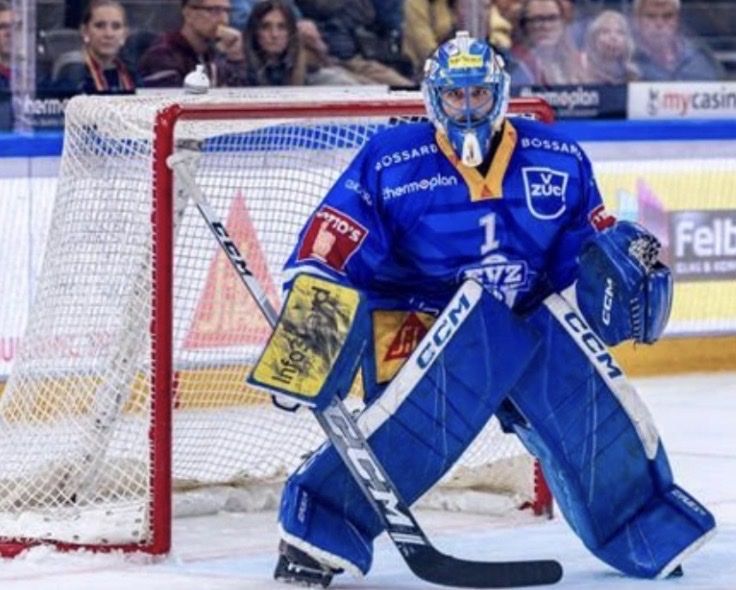 Protezioni & Imbottiture: Original EVZ Goalieset Tim Wolf / Gian Luca Zaetta CCM – Usato da Kallnach venduto da Chaesi89 1