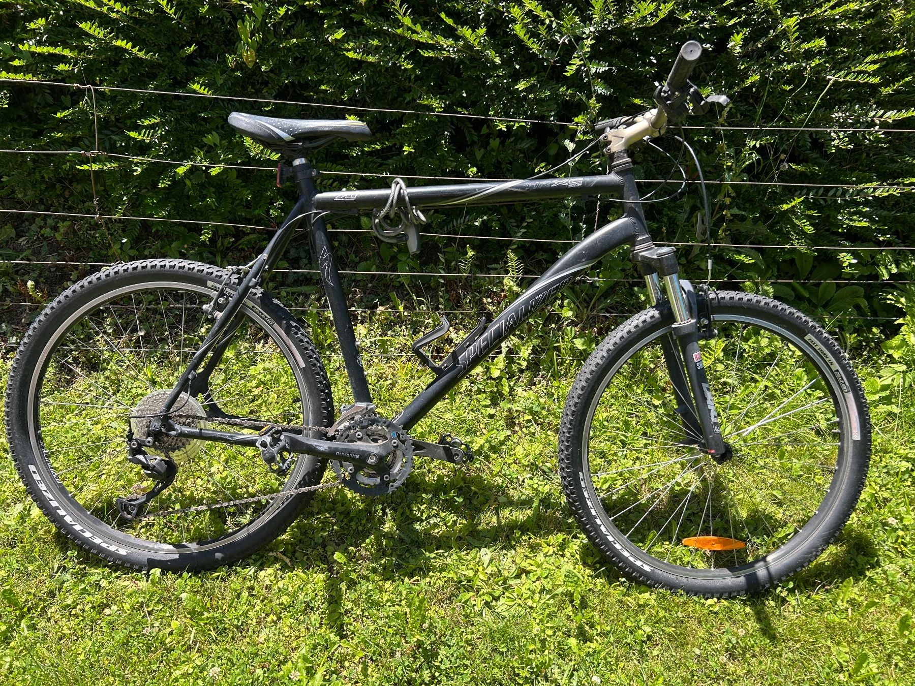 Specialized Biciclette: Specialized Rockhopper mountainbike grosse L – Difettoso da Rueschlikon venduto da scheuchzer