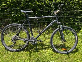 Specialized Rockhopper mountainbike grosse L