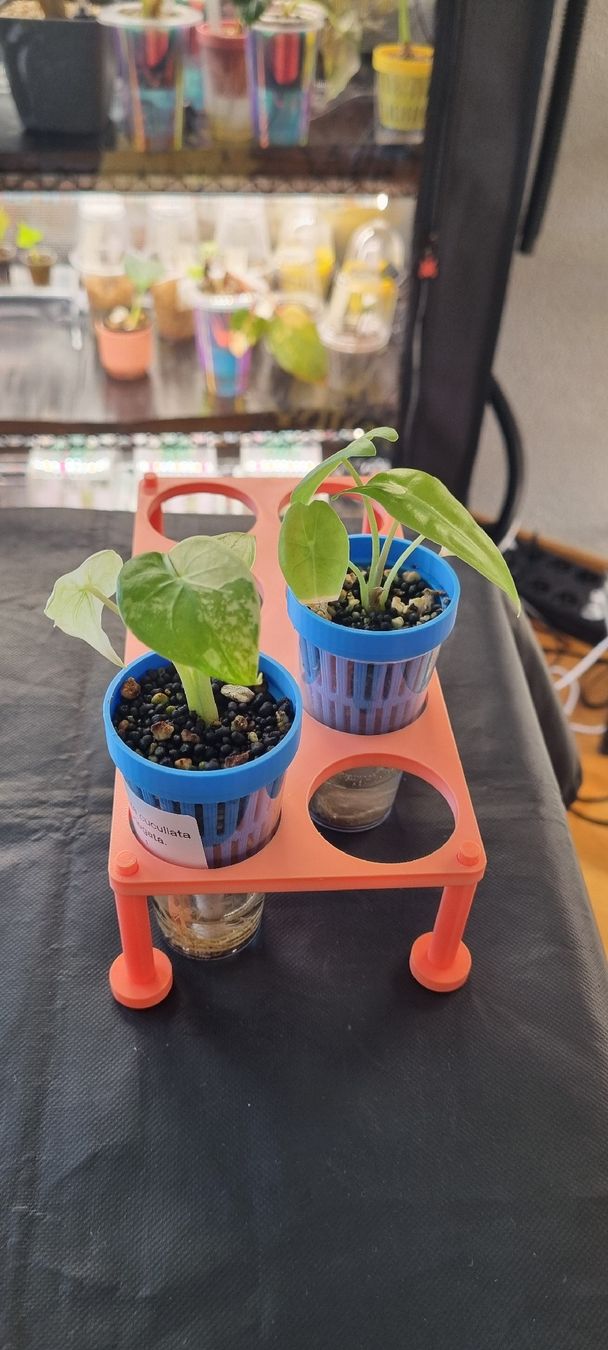 Pflanzen & Samen: 🌱 Modulare 3D-Anzuchtstation / Propagations-Set – Neu und originalverpackt aus Wallenwil von LadyLeaf_Ellis1 4