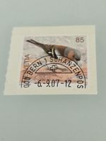 2007 Einheimische Vögel