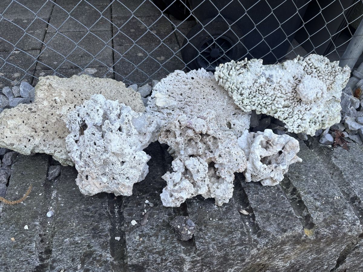 Tutte le decorazioni: Atoll Riffsäulen und jede Menge Riffgestein – Usato da Dürnten venduto da Cx83 4