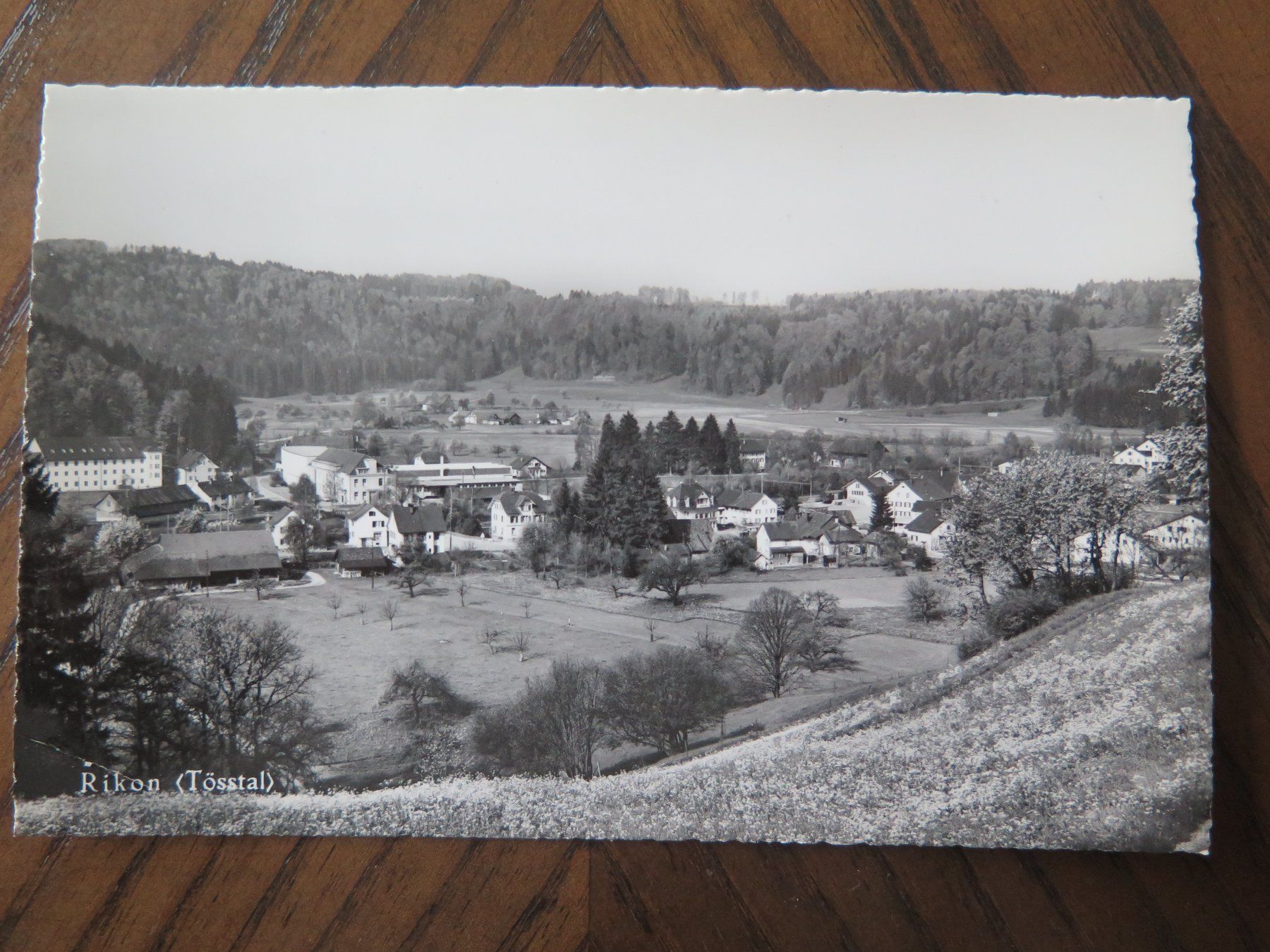 Cartoline postali: RIKON (TÖSSTAL) – Usato da Wittenbach venduto da lipasal