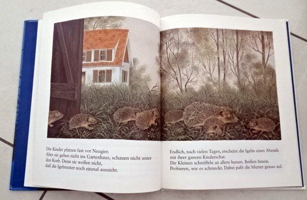 Libri: Piek, das Igelkind Kinder erleben Tiere Ravensburger – Usato da Wetzikon ZH venduto da strubeli024 3