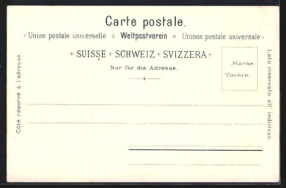 Cartoline postali: Litho Meiringen, Generalansicht, in der  – Usato da Berlin venduto da bartko-reher 1