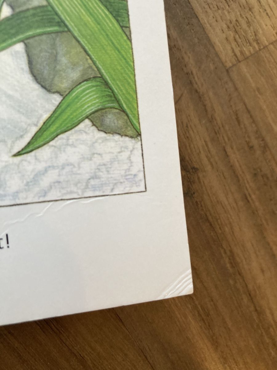 Bücher: Buch- Die kleine Ente – Gebraucht aus Luzern von Aldabema 5