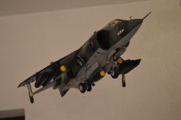 Hawker Siddley Harrier 1/24