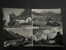 AK   1974 Saanen   (G3274)
