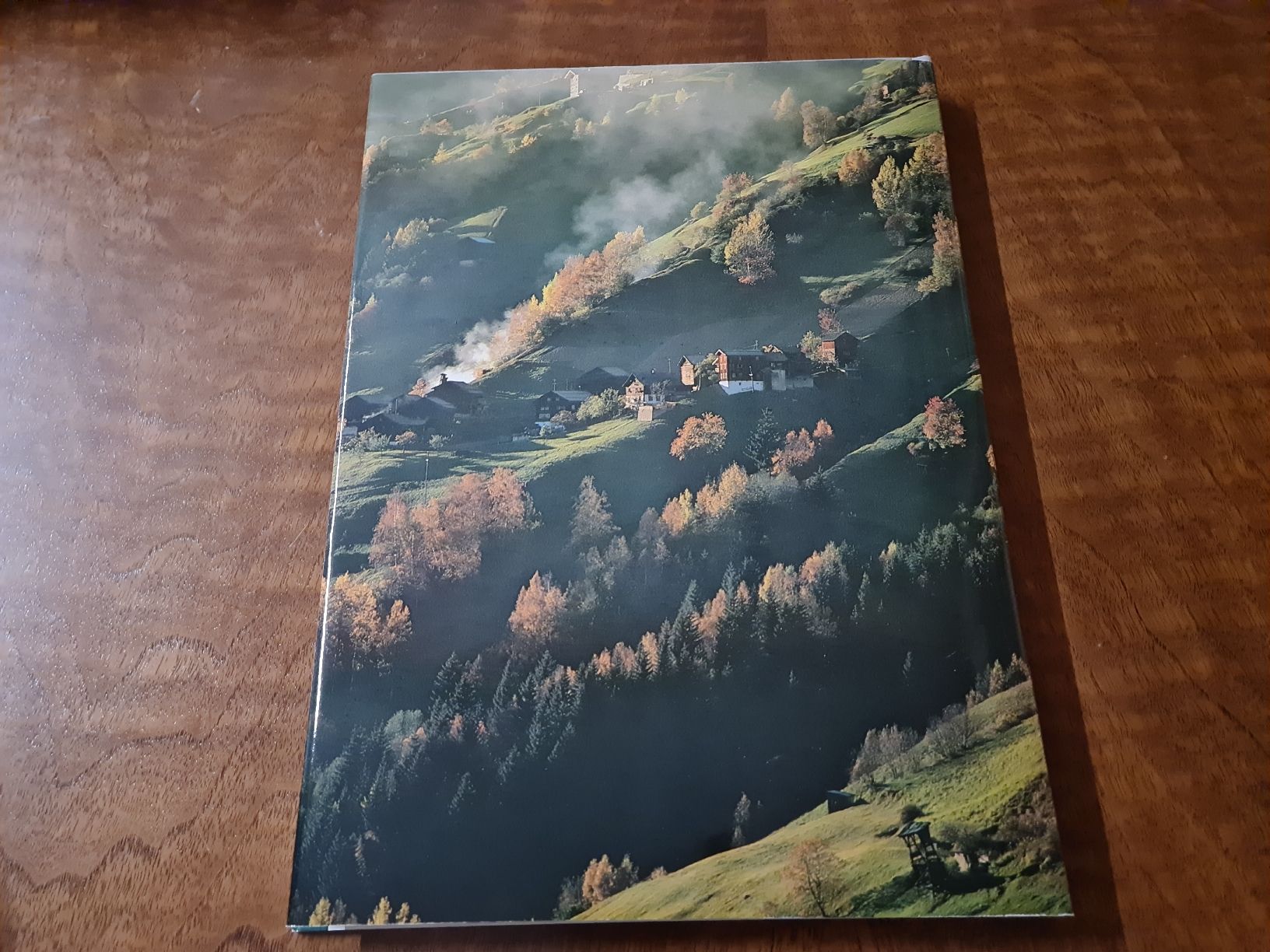 Libri: Österreich – Usato da Erstfeld venduto da Uhu1980 6