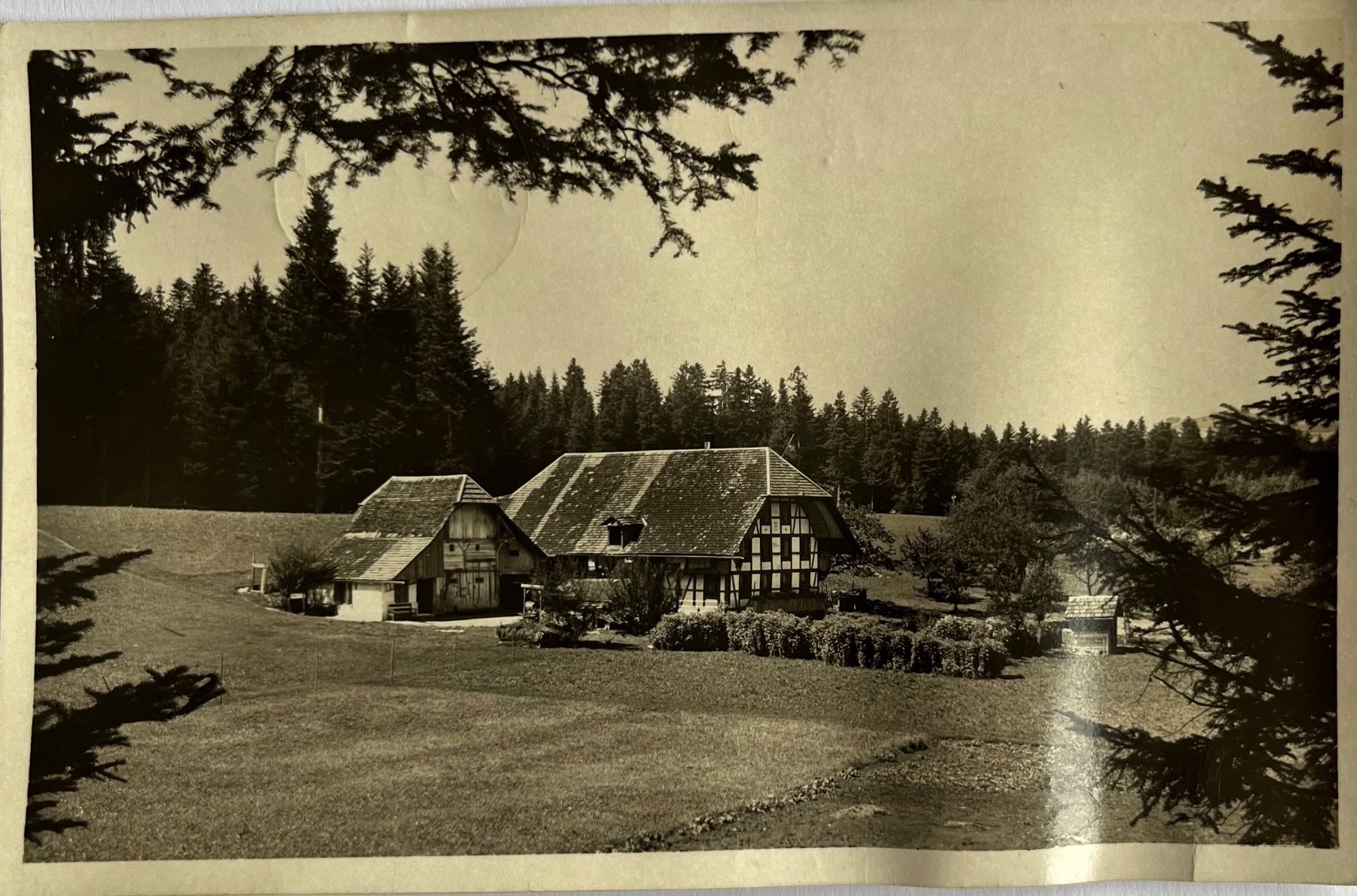 Cartoline postali: Antike Ansichtskarte Arnisäge bei Biglen – Usato da Eschen venduto da ulr_qys2